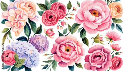 Fotografia pastal flowers, peonies rose, echeveria succulent, white hydrangea, ranunculus, anemone, eucalyptus, juniper vector design wedding bouquets