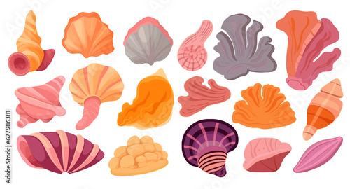 Various seashells aquatic characters set, marine life plants cartoon vector Illustration © Alen