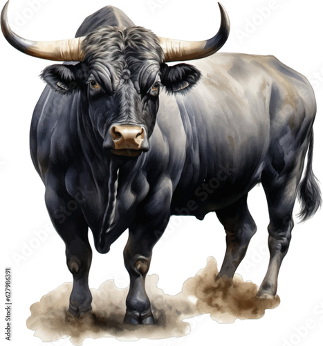 bull on a white background