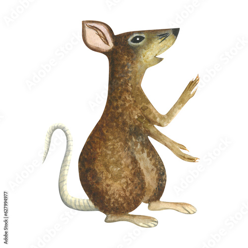 Watercolor illustration rat izolated on a transparent background hand drawn