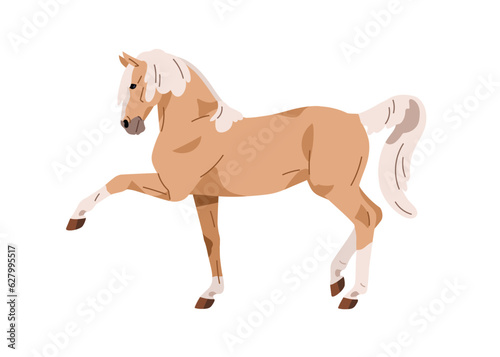 Horse with raised leg. Stallion profile during Spanish walk, step gait. Steed, trained equine animal going, moving. Tennessee walker, side view. Flat vector illustration isolated on white background