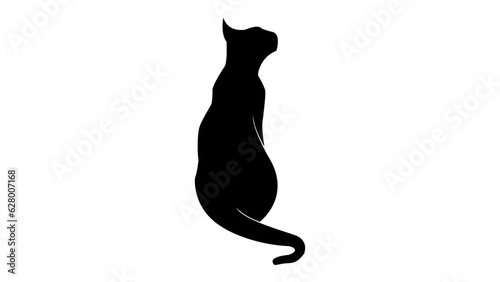 Cat Looking Up