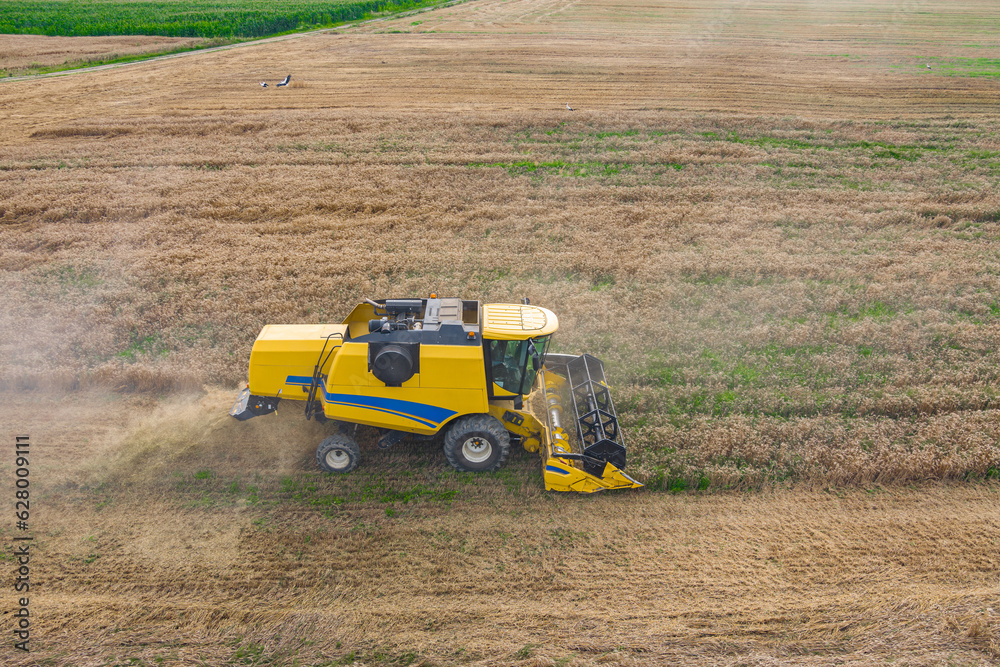 Obraz premium Combine harvester on the wheat field