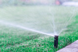 Automatic watering system waters a green lawn.