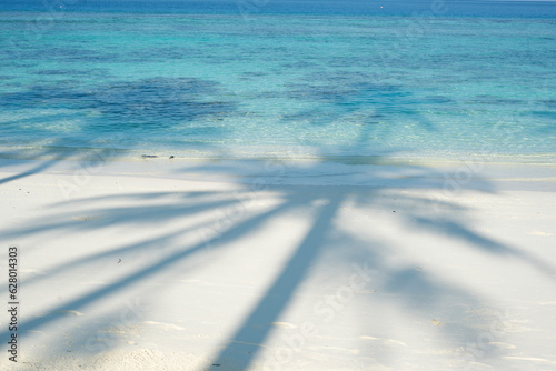 Maldives, palm tree shade on the beach