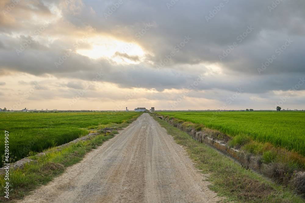 Straight country road and green farmland natural scenery at sunrise in cloudy sky
