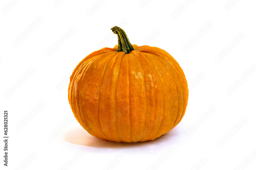 Yellow orange raw fresh pumpkin on a white background Yellow orange raw fresh pumpkin on a white background