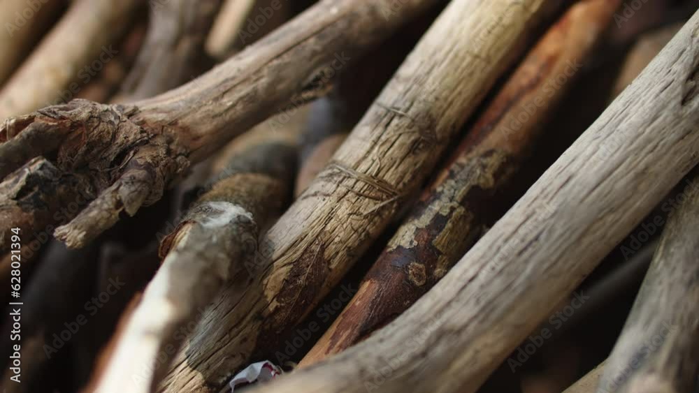 Branches for the fire in a stack, dry branches in sun 4K wooden background Branches for the fire in a stack, dry branches in sun 4K wooden background