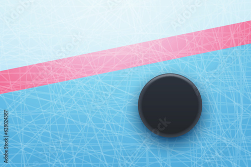 hockey puck behind red line top view