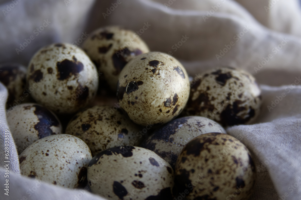 Spotted quail eggs on linen fabric close-up Spotted quail eggs on linen fabric close-up
