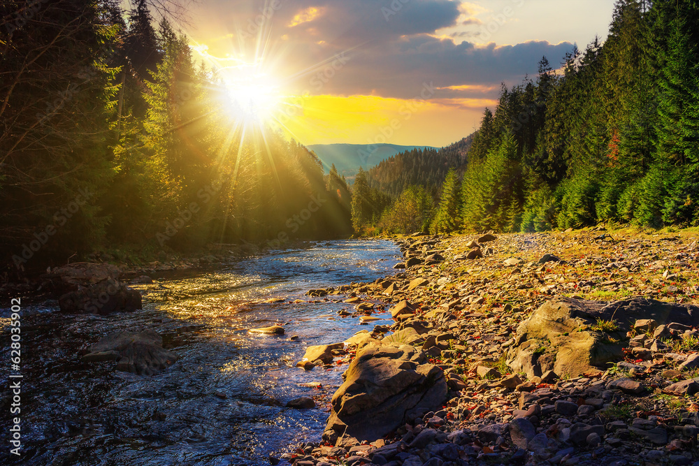 autumn landscape at sunset. rocky shore of the river that flows near the pine forest at the foot of the mountain in evening light