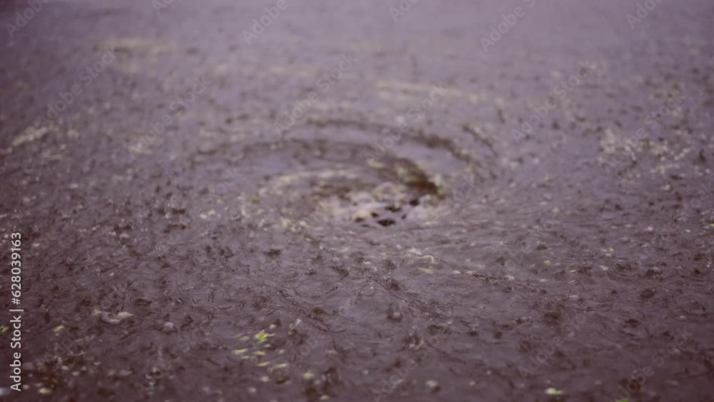 Time lapse, Close up of swift stream of rainwater flows into storm drain, cars are driving at city crossroads on background. Heavy rain leads to sewage overflow, flood in city Time lapse, Close up of swift stream of rainwater flows into storm drain, cars are driving at city crossroads on background. Heavy rain leads to sewage overflow, flood in city