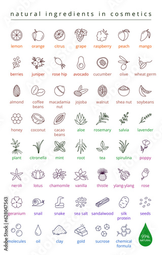 Natural ingredients in cosmetics vector icons set, editable stroke