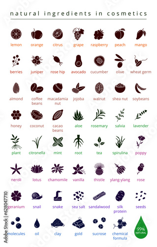 Silhouettes of natural ingredients in cosmetics vector icons set