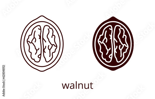 Walnut icon, line editable stroke and silhouette