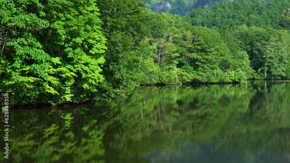 戸隠高原 夏の鏡池 戸隠高原 夏の鏡池