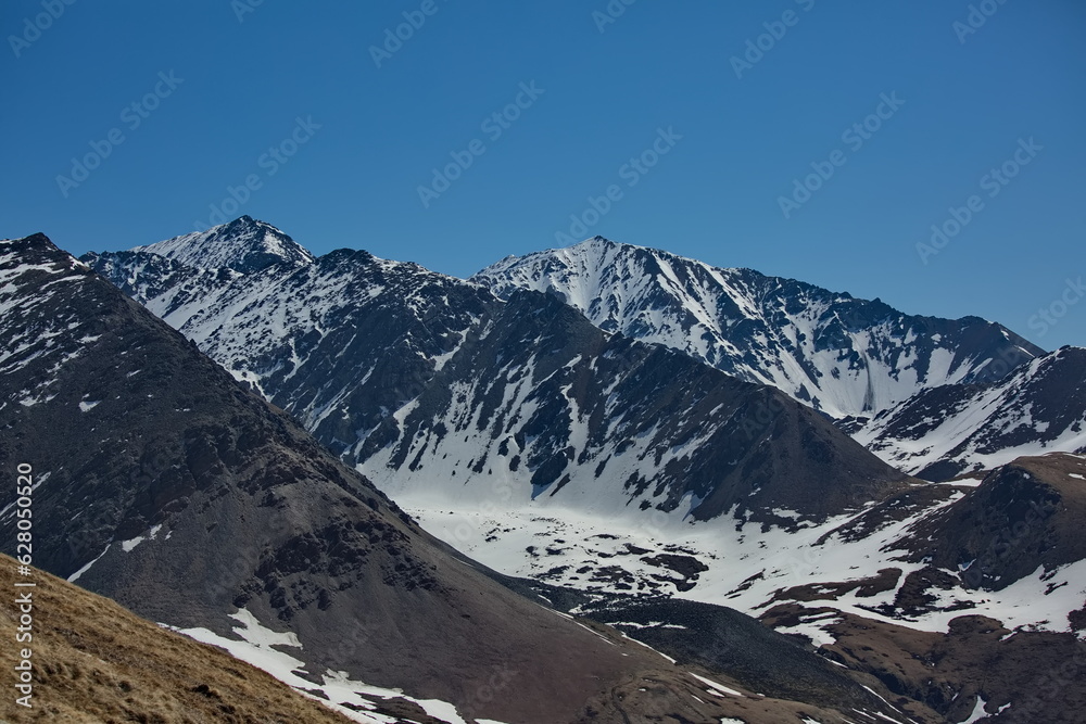 On Mount Lysukha near the village of Aktash in June, Altai.