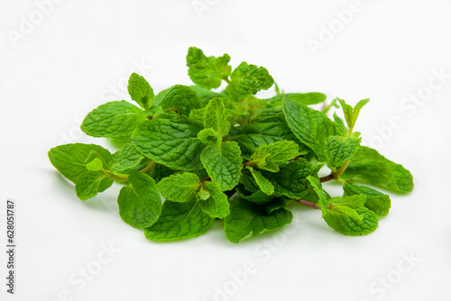 Fresh Mint Leaves on a White Background