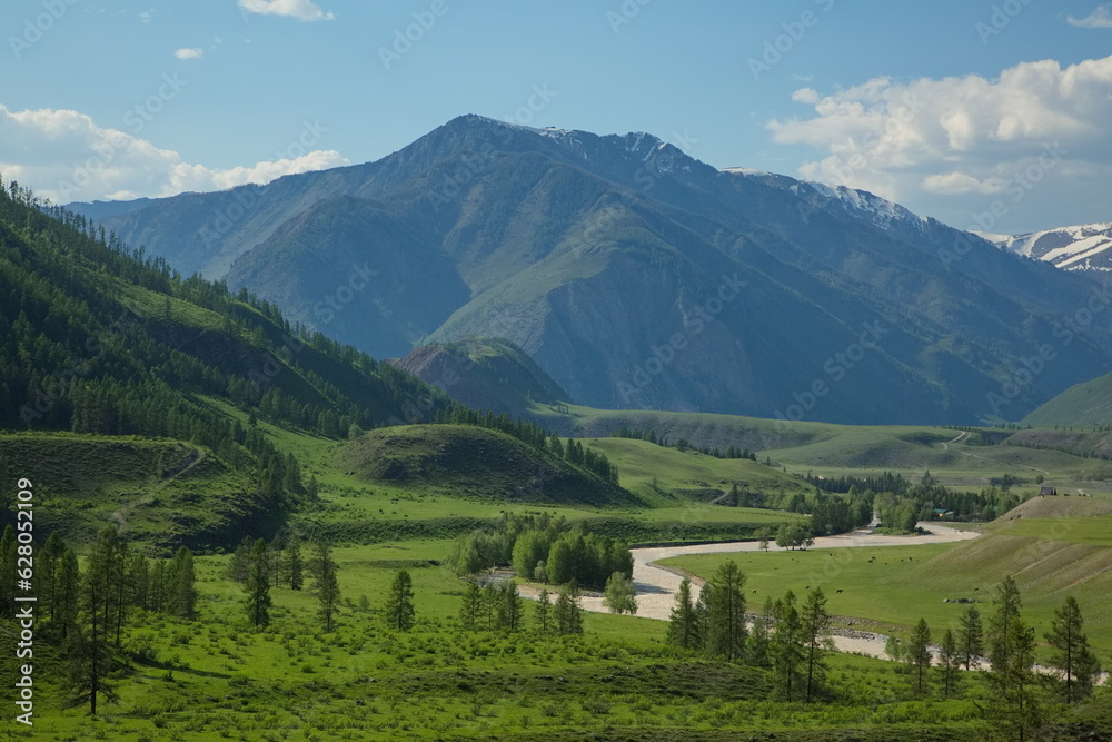 Valley of the Chuya River in the vicinity of the village of Chibit, Altai.