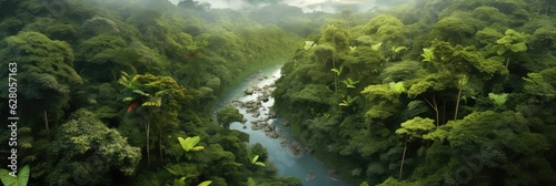 Tropical rainforest photo realistic illustration - Generative AI.