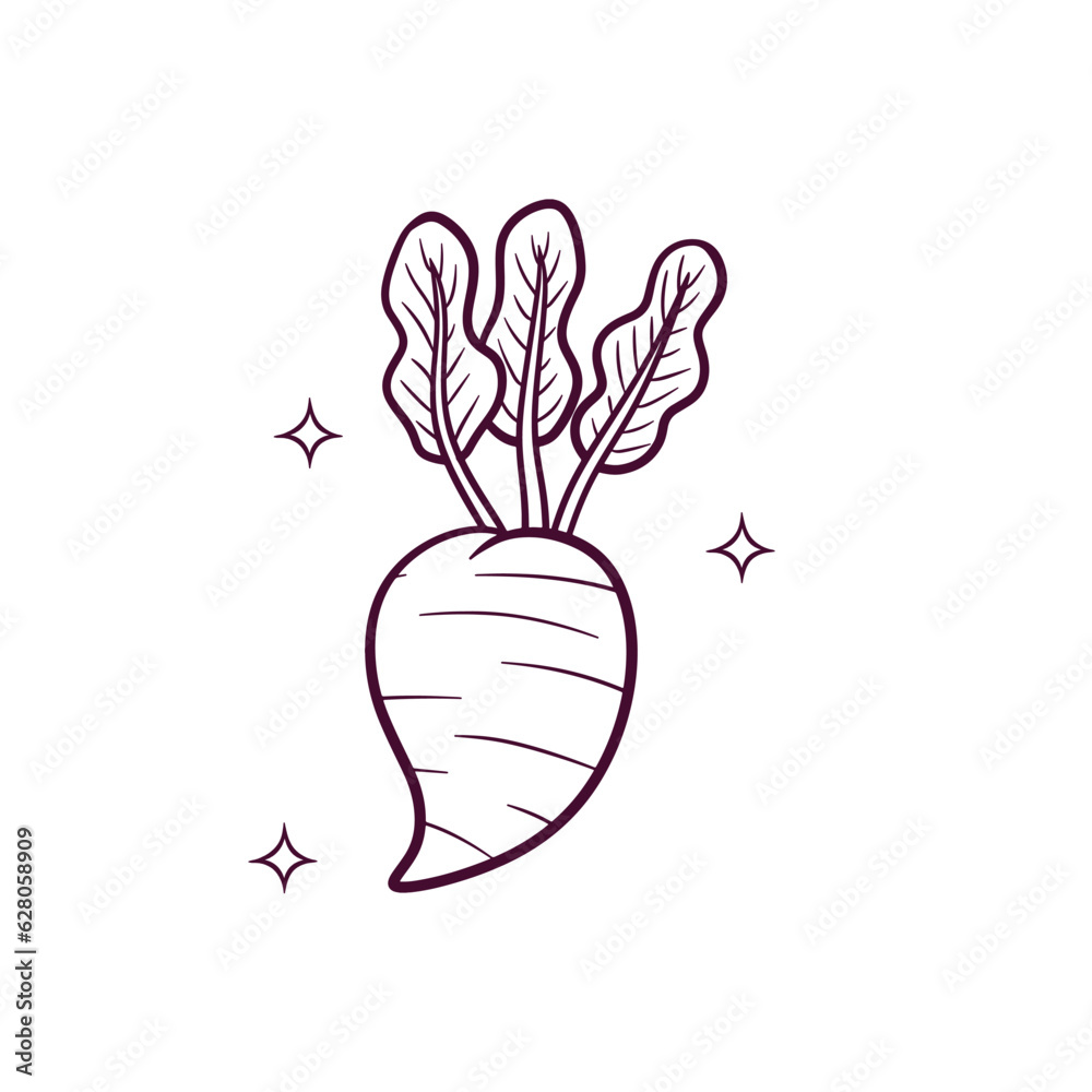Hand Drawn Radish. Doodle Vector Sketch Illustration