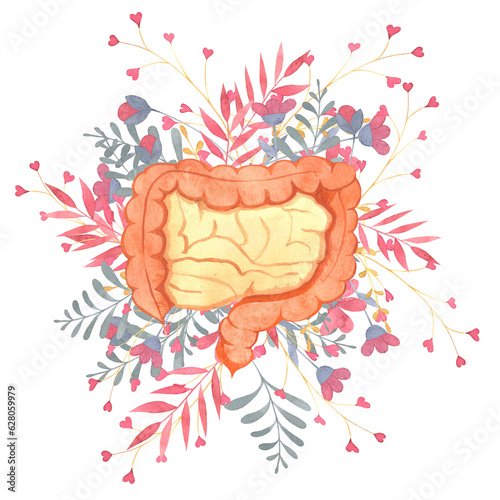 human intestines, human internal organs, flowers, twigs, watercolor illustration for cardiology theme