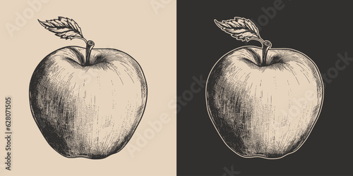 Set of vintage retro woodcut linocut engraving gravure sketch apple. Can be used like emblem, logo. mark, poster or print. Monochrome Graphic Art. Vector. Hand drawn element in antique