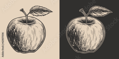 Set of vintage retro woodcut linocut engraving gravure sketch apple. Can be used like emblem, logo. mark, poster or print. Monochrome Graphic Art. Vector. Hand drawn element in antique