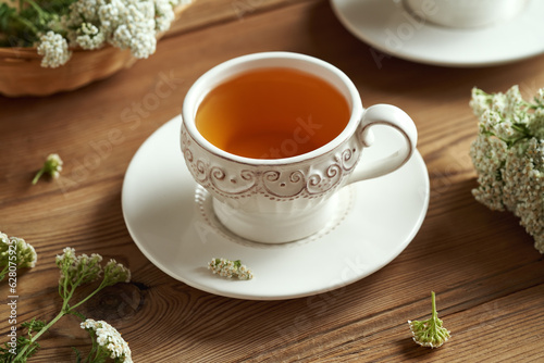Yarrow tea with fresh blooming Achillea milefolium plant