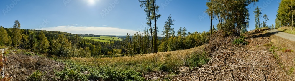 panorama view from hill in country side landscape with forests and meadows