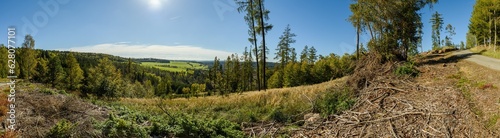 panorama view from hill in country side landscape with forests and meadows