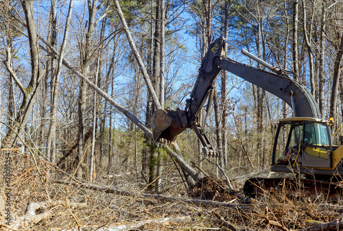 Using an excavator worker uproots trees that are growing in forest  preparing ground on which to build house