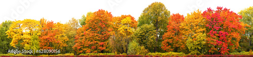 autumn nature with a variety of colors, a beautiful park with many trees and plants