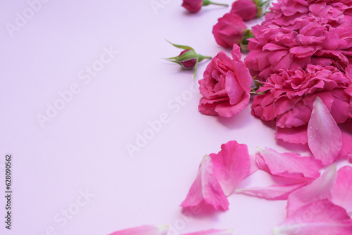 Composition with pink rose flowers on light pink background with space for text. Sweet and romantic concept.