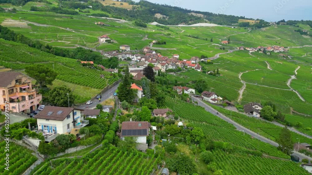 Aerial view of vineyards on shores Geneva Lake in Switzerland. Lavaux wine region with many wineries and vineyards Aerial view of vineyards on shores Geneva Lake in Switzerland. Lavaux wine region with many wineries and vineyards