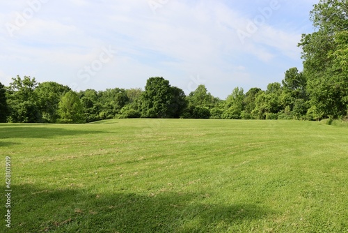 Fototapeta Naklejka Na Ścianę i Meble -  The green country field on a sunny day.