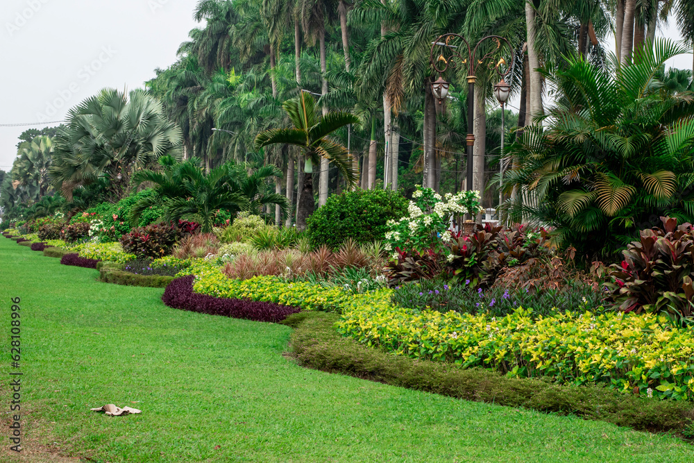 Fototapeta premium Flower garden on the way