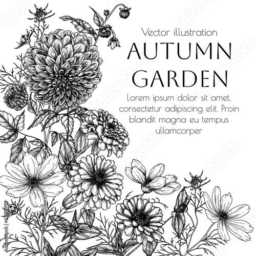 Vector frame from autumn flowers. Dahlia, cosmos, zinnia in engraving style