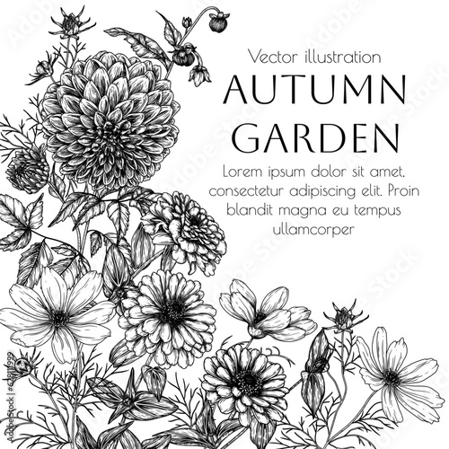 Fotografi Vector frame from autumn flowers