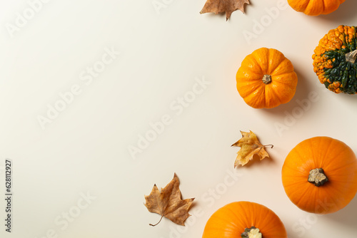 Autumn fall thanksgiving day composition with decorative pumpkins