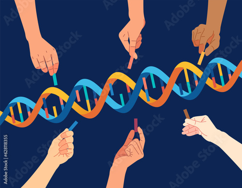 Diversity people hand that completes the DNA Helix genetic concept vector illustration