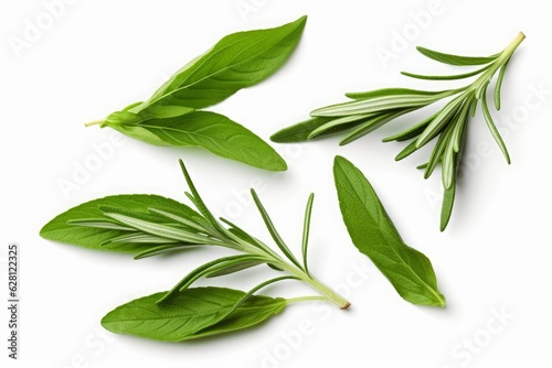 Fresh green organic basil and rosemary leaves isolated on white background. With clipping path. Transparent background and natural transparent shadow  Basil herb collection for design, Generative AI © Reeta