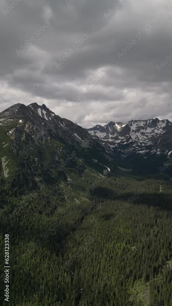 A video about a forest near Lake Poprad, a destination in the High Tatras National Park, Slovakia A video about a forest near Lake Poprad, a destination in the High Tatras National Park, Slovakia