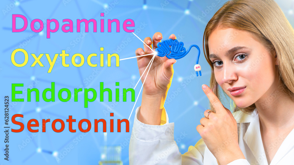 Synthesis of hormones. Woman doctor with brain model. Production of