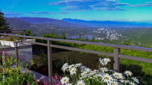 Scenic view of Fraser Valley, BC, in summer, as seen from a Burnaby Mountain patio, with Shasta daisies in foreground and mountains on horizon.