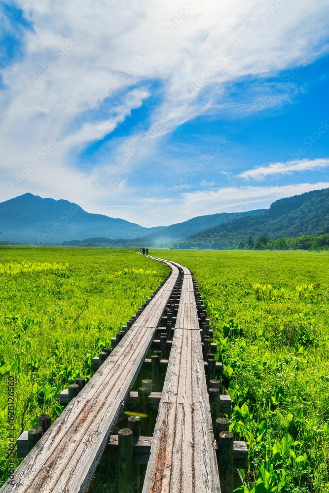 Obraz premium いざ尾瀬へ