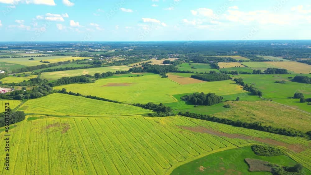 Abstract geometric shapes of agricultural parcels of different crops in yellow and green colors. Aerial view shoot from drone directly above field Abstract geometric shapes of agricultural parcels of different crops in yellow and green colors. Aerial view shoot from drone directly above field