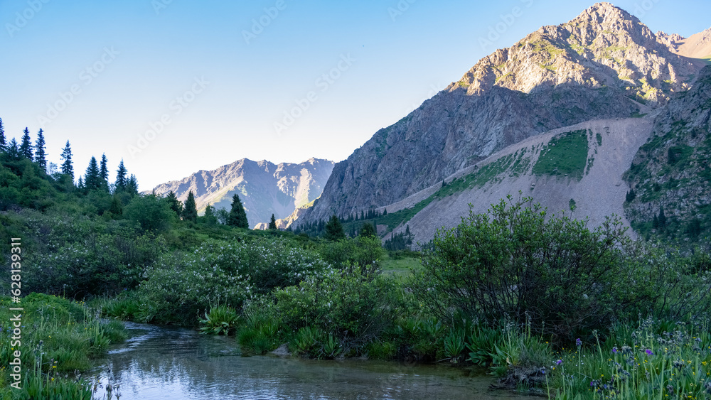 Obraz premium a river in a beautiful mountain gorge. the green gorge. summer mountains