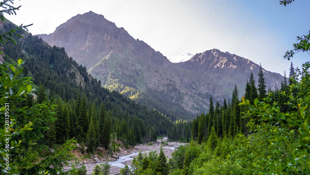 Fototapeta premium a river in a beautiful mountain gorge. the green gorge. summer mountains