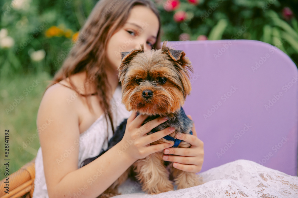A teenage girl is holding a Yorkshire Terrier dog. Focus on the dog A teenage girl is holding a Yorkshire Terrier dog. Focus on the dog